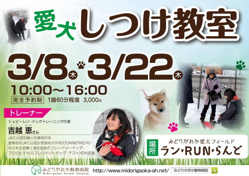 愛犬しつけ教室　2018年3月8日（木）、3月22日（木）愛犬についてのお悩みはありませんか？しつけ教室を開催いたします。　北海道釧路市緑ヶ岡のみどりがおか動物病院